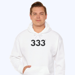 GlowRise™ 333 Hoodie ♡  Angel Number 333 Hoodie for Abundance + Prosperity + Wealth Growth + Connections + Alignment