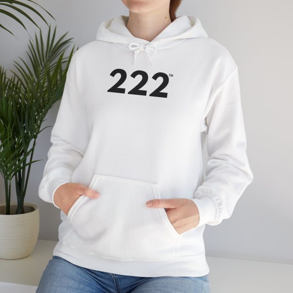 GlowRise™ 222 Hoodie ♡  Angel Number 222 Hoodie for Balance + Trust + Alignment - Image 12